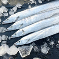 Small Eye Hairtail Fish Sections - view 1