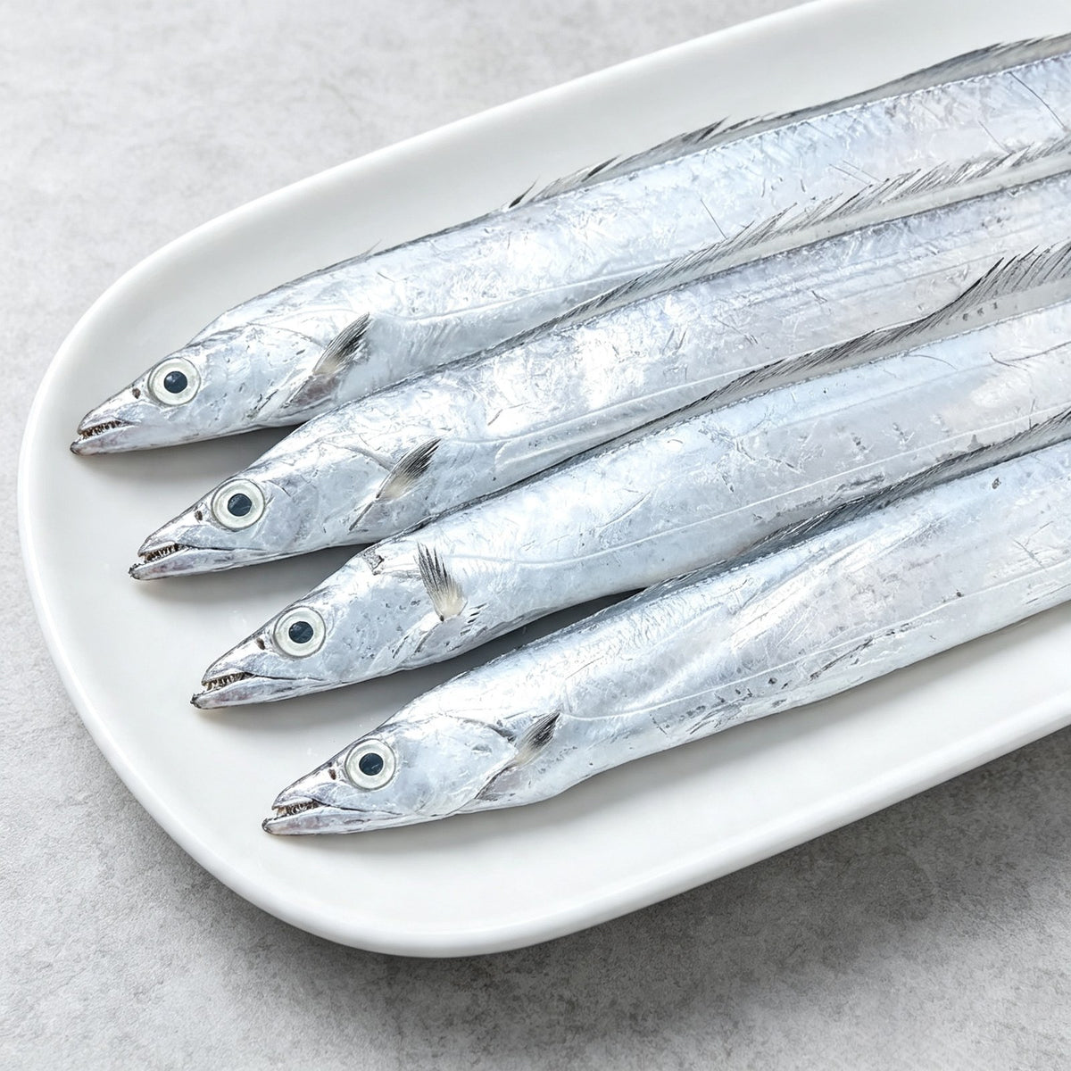Small Eye Hairtail Fish Sections - view 3