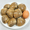 Large Live Wenbei Clams - view 1
